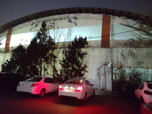 عکس زمین چمن مصنوعی سرپوشیده باغچه بان