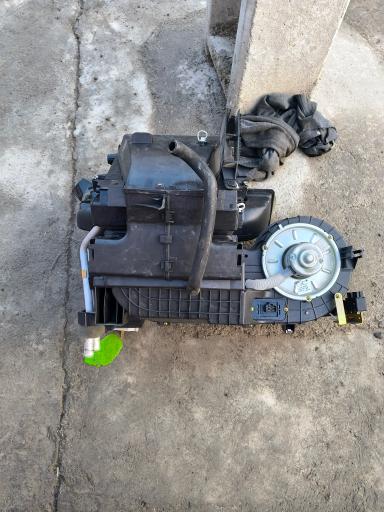 عکس استوک افشار 