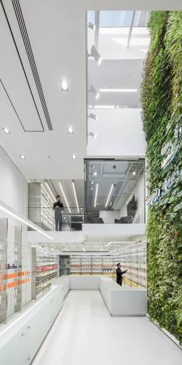 عکس داروخانه نوید