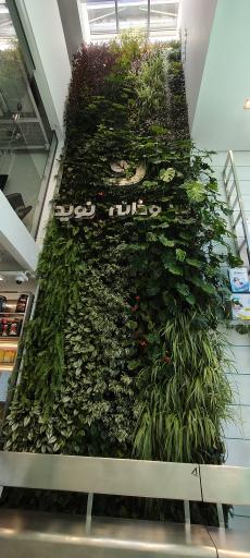 داروخانه نوید