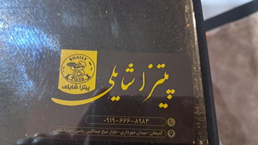 عکس پیتزا شایلی
