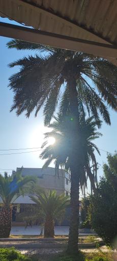 پارک ملی