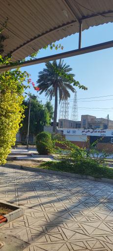 پارک ملی