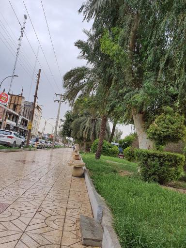 پارک ملی