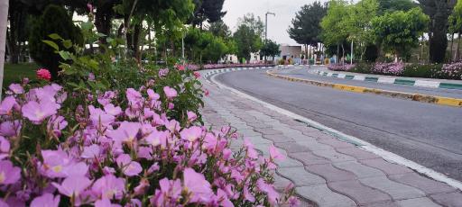 عکس بیمارستان فوق تخصصی رضوی