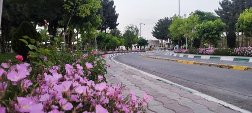 عکس بیمارستان فوق تخصصی رضوی