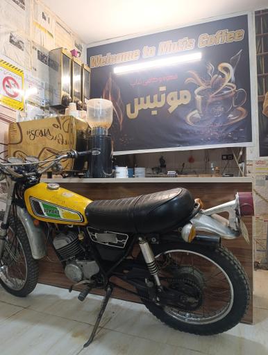عکس قهوه موتیس