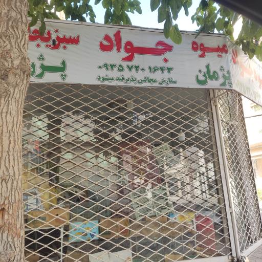 عکس میوه جواد
