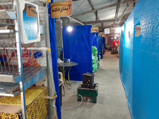 عکس پرورش بلدرچین وفائی