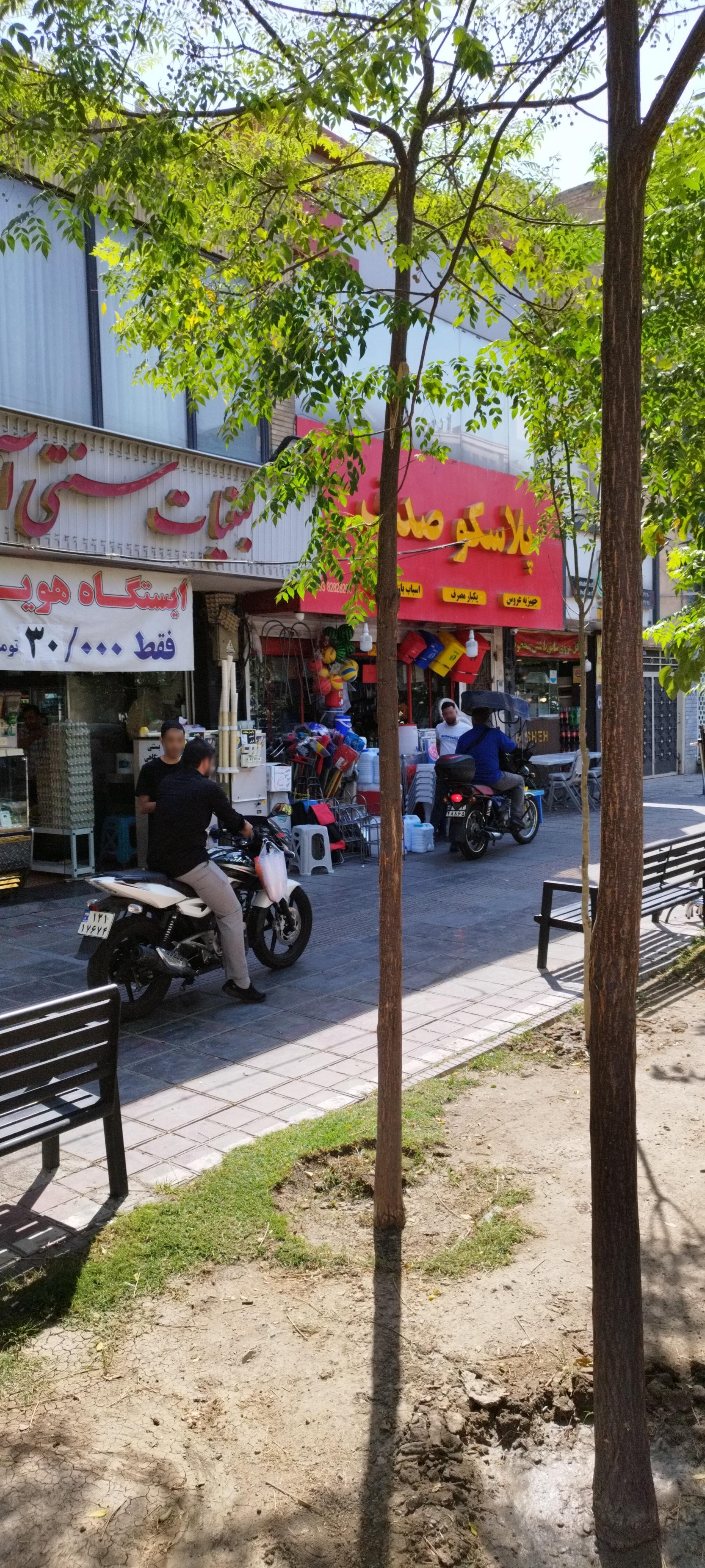 عکس پلاسکو صدف