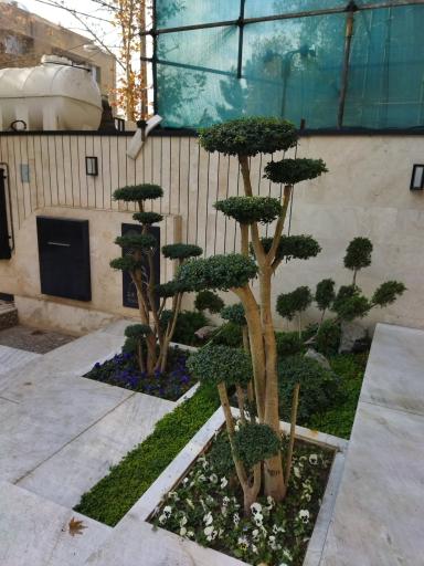 عکس مجتمع رفاهی و تفریحی برادران ثبتی 