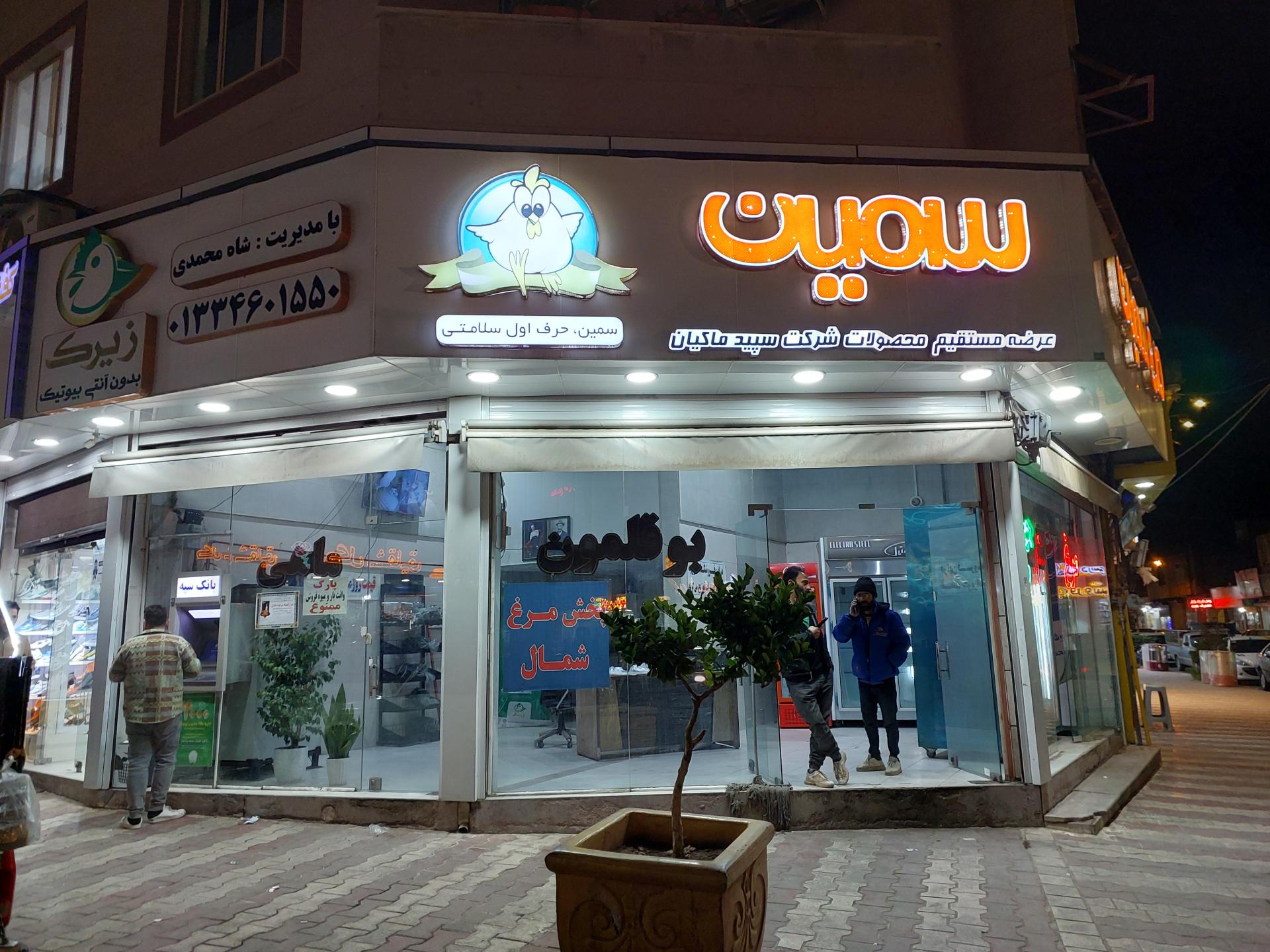 عکس مرغ سیمین شاه محمدی