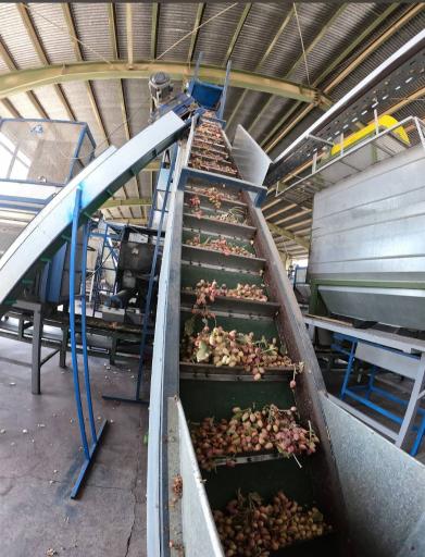 ترمینال پسته پورحجتی