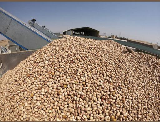 ترمینال پسته پورحجتی