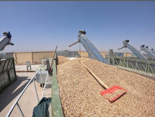 ترمینال پسته پورحجتی