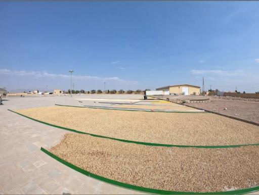 ترمینال پسته پورحجتی