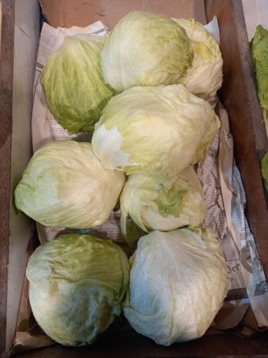 عکس میوه و تره بار رضایی