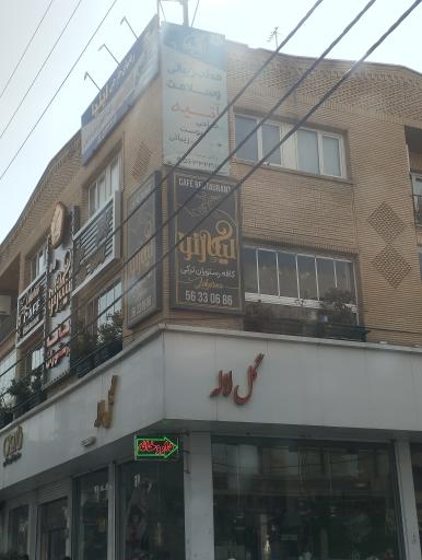 عکس دکوری و دکوراسیون گل لاله