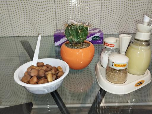 عکس آبمیوه بستنی نارگیل 