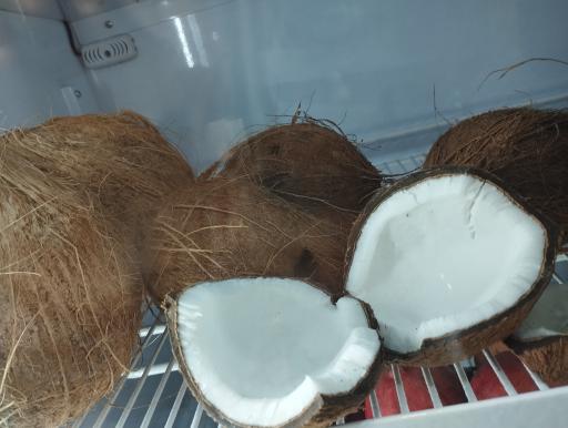 عکس آبمیوه بستنی نارگیل 