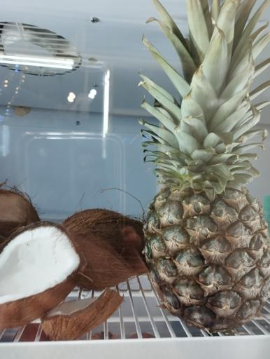 عکس آبمیوه بستنی نارگیل 