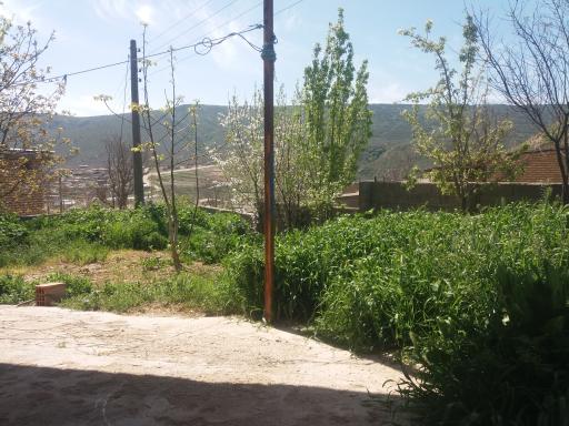 عکس یانبلاغ