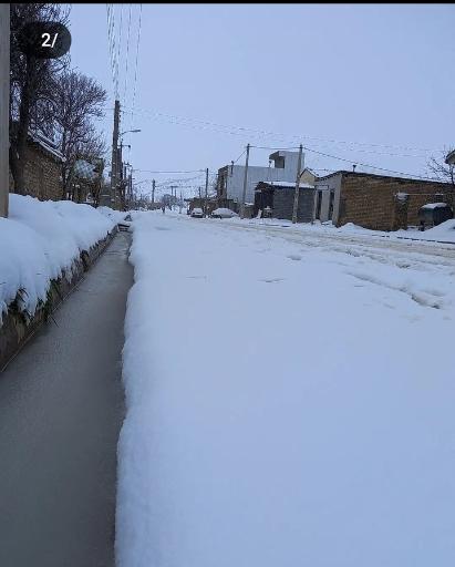 عکس یانبلاغ