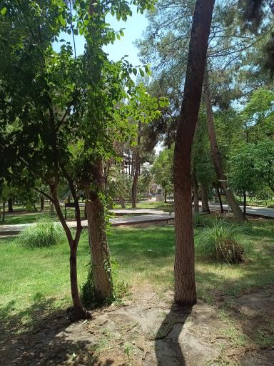 عکس بوستان ولیعصر (بوستان خانواده)