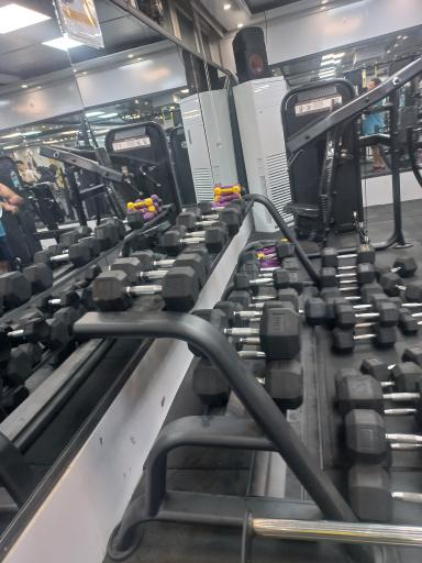 عکس باشگاه بدنسازی گلستان