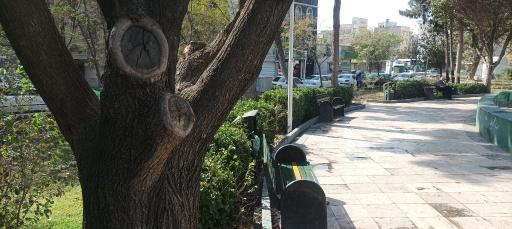 عکس بوستان ابریشم