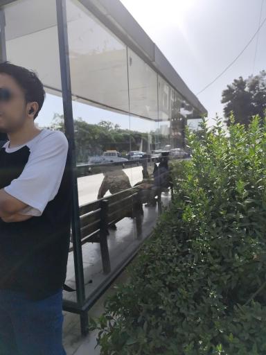 عکس جلال آل احمد