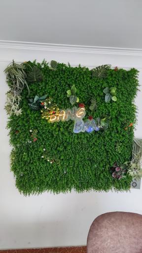 عکس کافه رستوران بنگ بنگ 