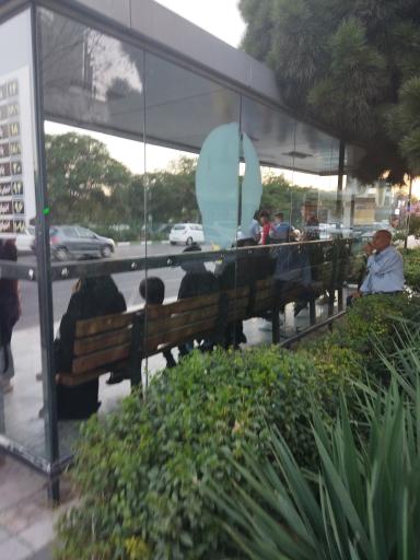 عکس جلال آل احمد