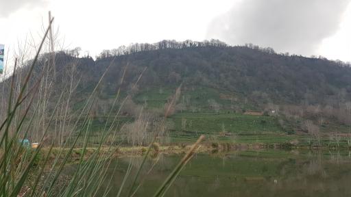 عکس بام لنگرود