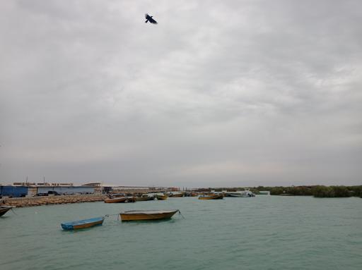 عکس بندر صیادی بندرعباس