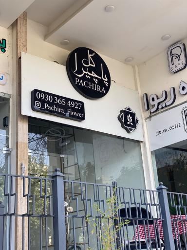 عکس گل فروشی پاچیرا