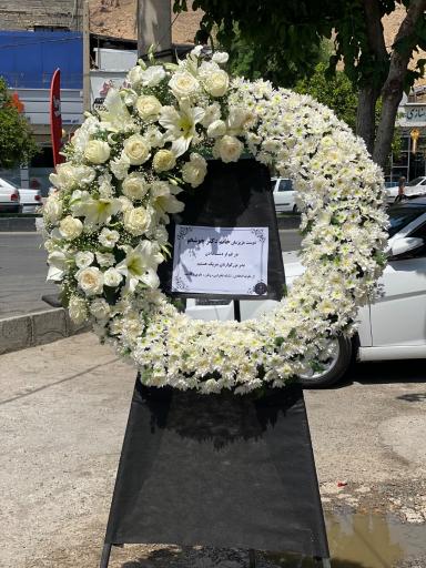 عکس گل فروشی پاچیرا