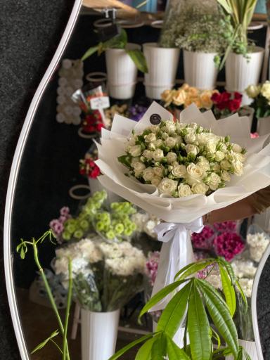 عکس گل فروشی پاچیرا