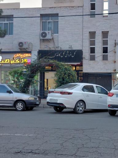 عکس گل فروشی کاغذی
