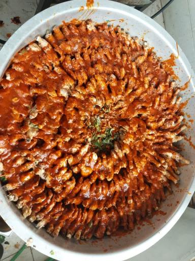 عکس مجموعه غذای نگین سبز 