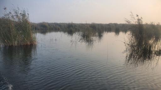 عکس صراخیه