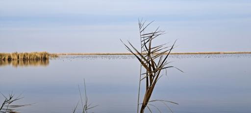 عکس تالاب کانی برازان