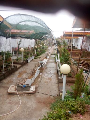 عکس باغ رستوران پردیس سلامی