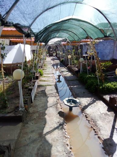 عکس باغ رستوران پردیس سلامی