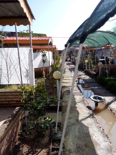 عکس باغ رستوران پردیس سلامی