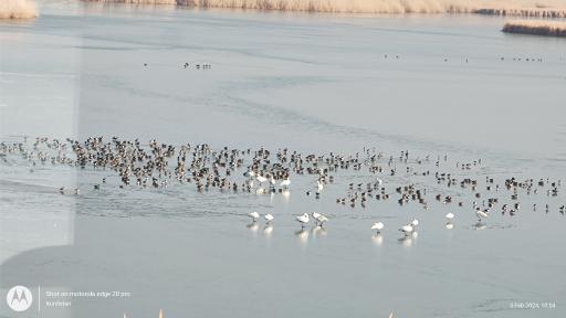 عکس تالاب کانی برازان