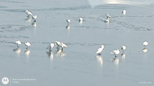 عکس تالاب کانی برازان