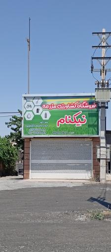 عکس فروشگاه مزرعه نیکنام