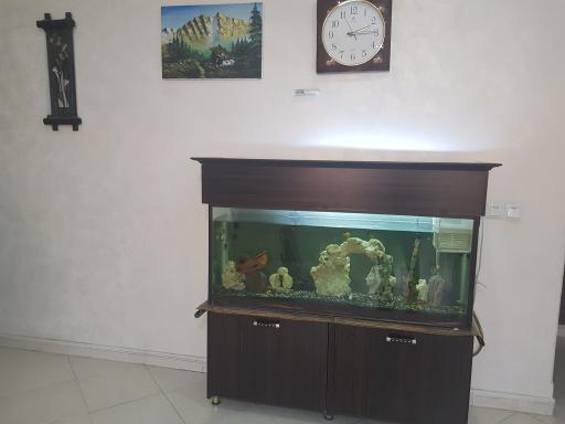 عکس مطب دندانپزشکی دکتر سید محمد علوی