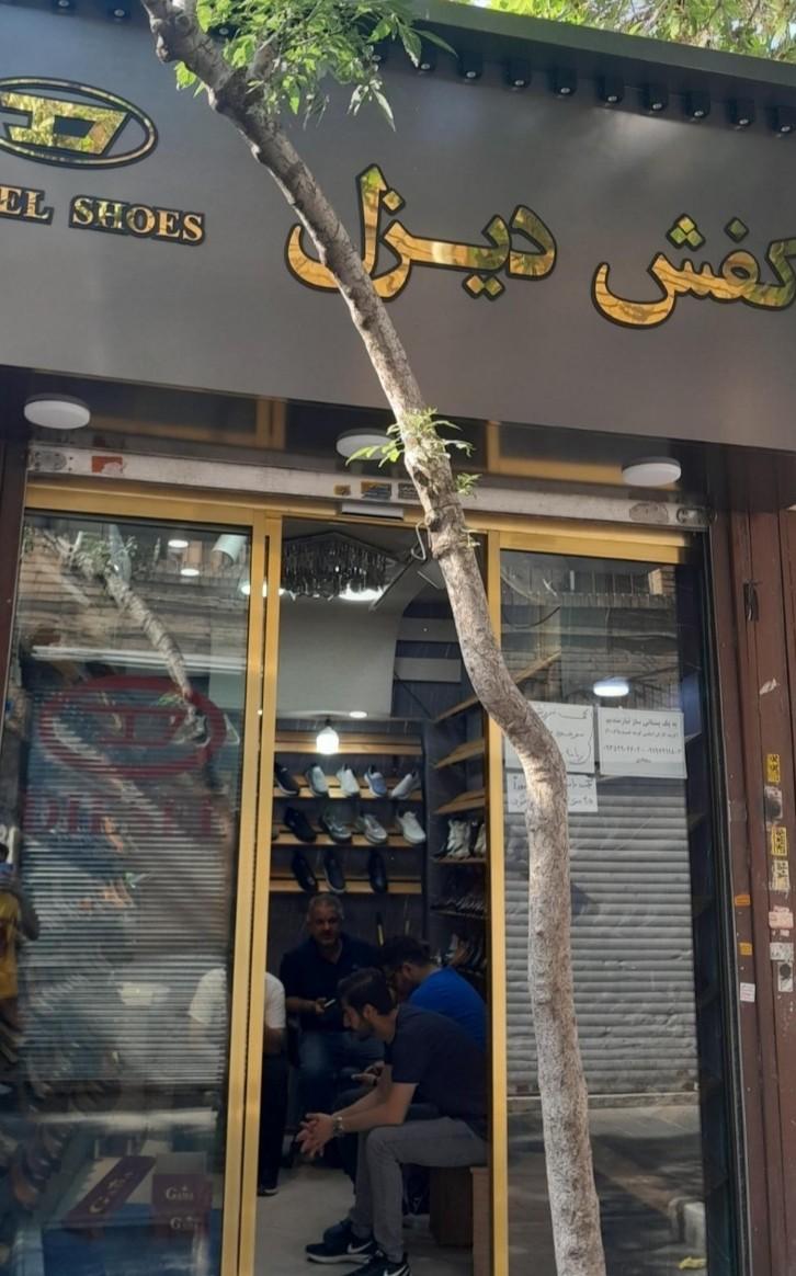 عکس نمایندگی کفش دیزل 